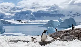 Images of Antarctic