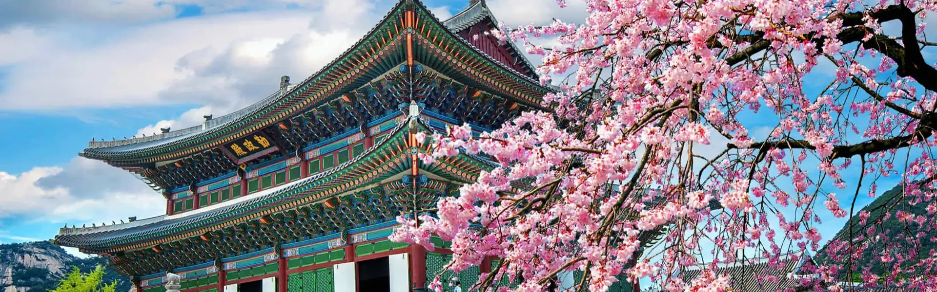 New 2028 Itineraries
