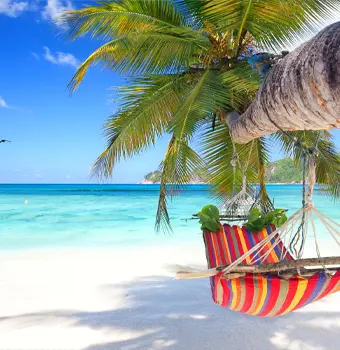 Promotion for Cruises up to 5 nights