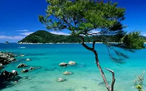 Dunedin
