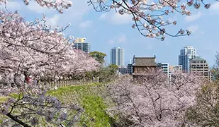 Fukuoka