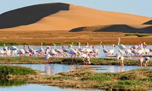 Walvis Bay