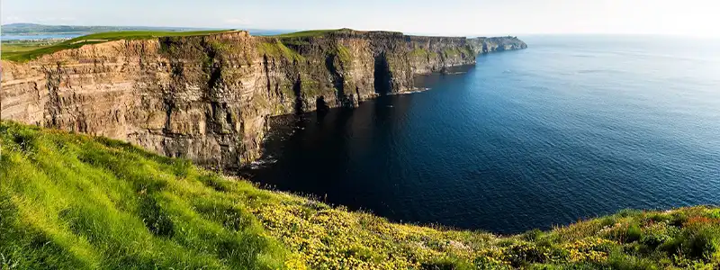 Canna